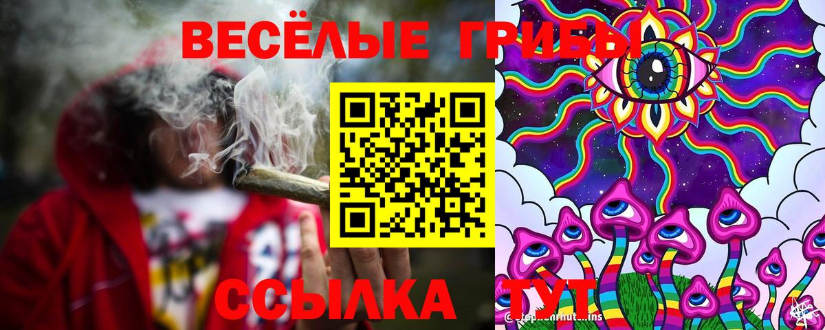 Галлюциногенные грибы прущие грибы Обнинск