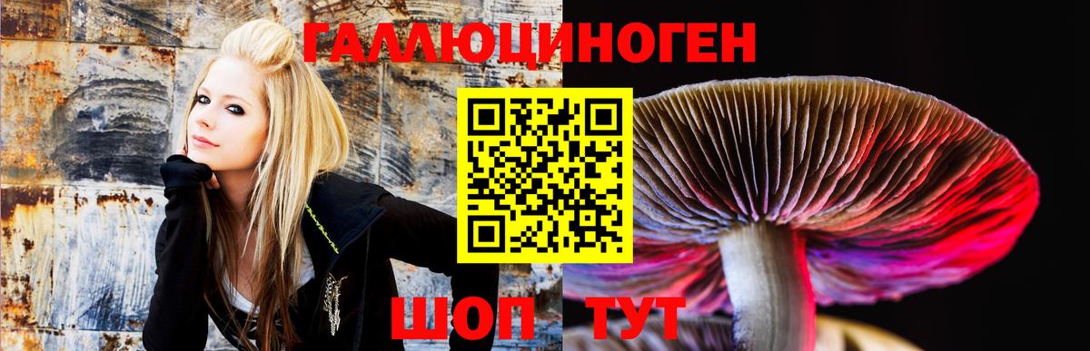 Обнинск  Псилоцибиновые грибы прущие грибы  Вход с VPN 